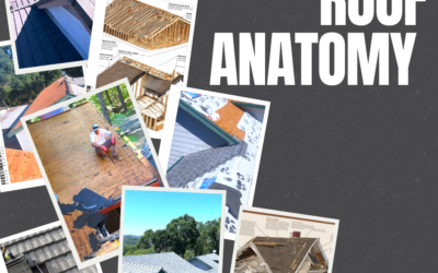 Roofing Systems Explained: Services and Tips from Local Placerville Roofing Experts