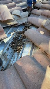 Tile roof with debris build-up