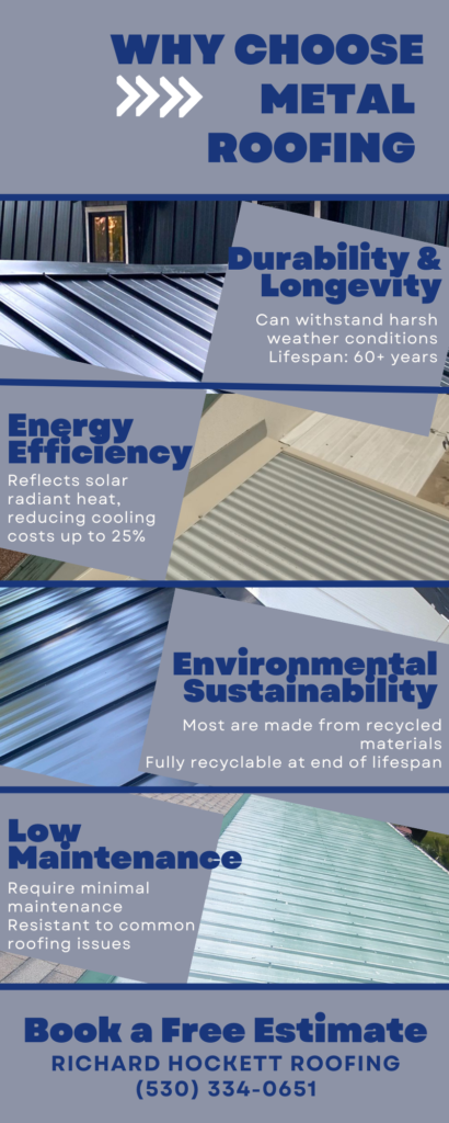 Metal Roofing Infographic