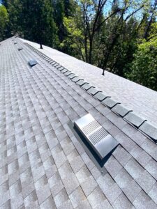 Image of Ridge and Vents on Roof