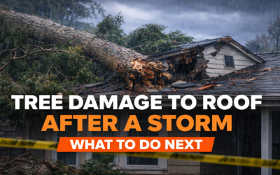 Tree Damage to Roof – Steps to Take After a Storm