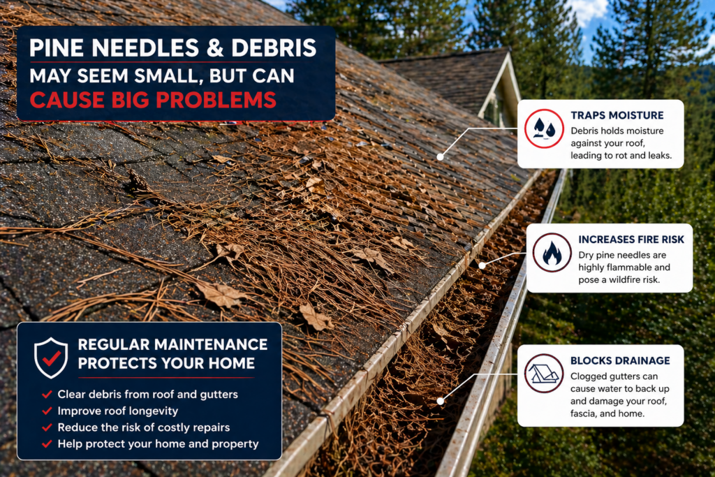 Pine needles and debris buildup on roof in foothill home causing moisture, fire risk, and drainage issues