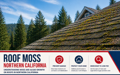 Roof Moss Northern California: Moss and Algae Growth on Roofs