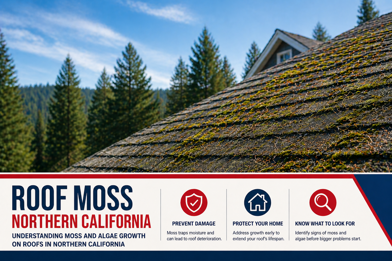 Roof moss Northern California showing moss and algae growth on residential roof in foothill area