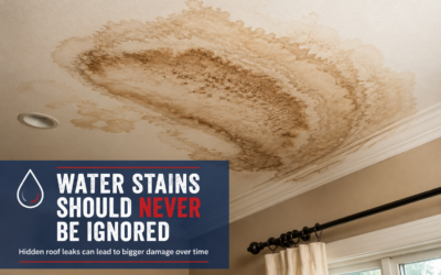 Why Water Stains on Ceilings Should Never Be Ignored